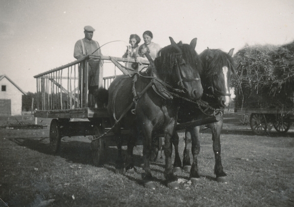 Ut med h&ouml;skrindan: bild fr&aring;n Gangvide 503 d&auml;r Per och Kickan Karlsson bor i dag. Fotot &auml;r taget 1939; fr&aring;n v&auml;nster Karl Larsson, f&ouml;dd 1900 i Lau; d&ouml;ttrarna Greta, f&ouml;dd 1927 och mor till Per Karlsson samt Vanja, f&ouml;dd 1932 och gift i V&auml;te; hustrun Vendla Hansson, f&ouml;dd 1900 p&aring; Gangvide 503